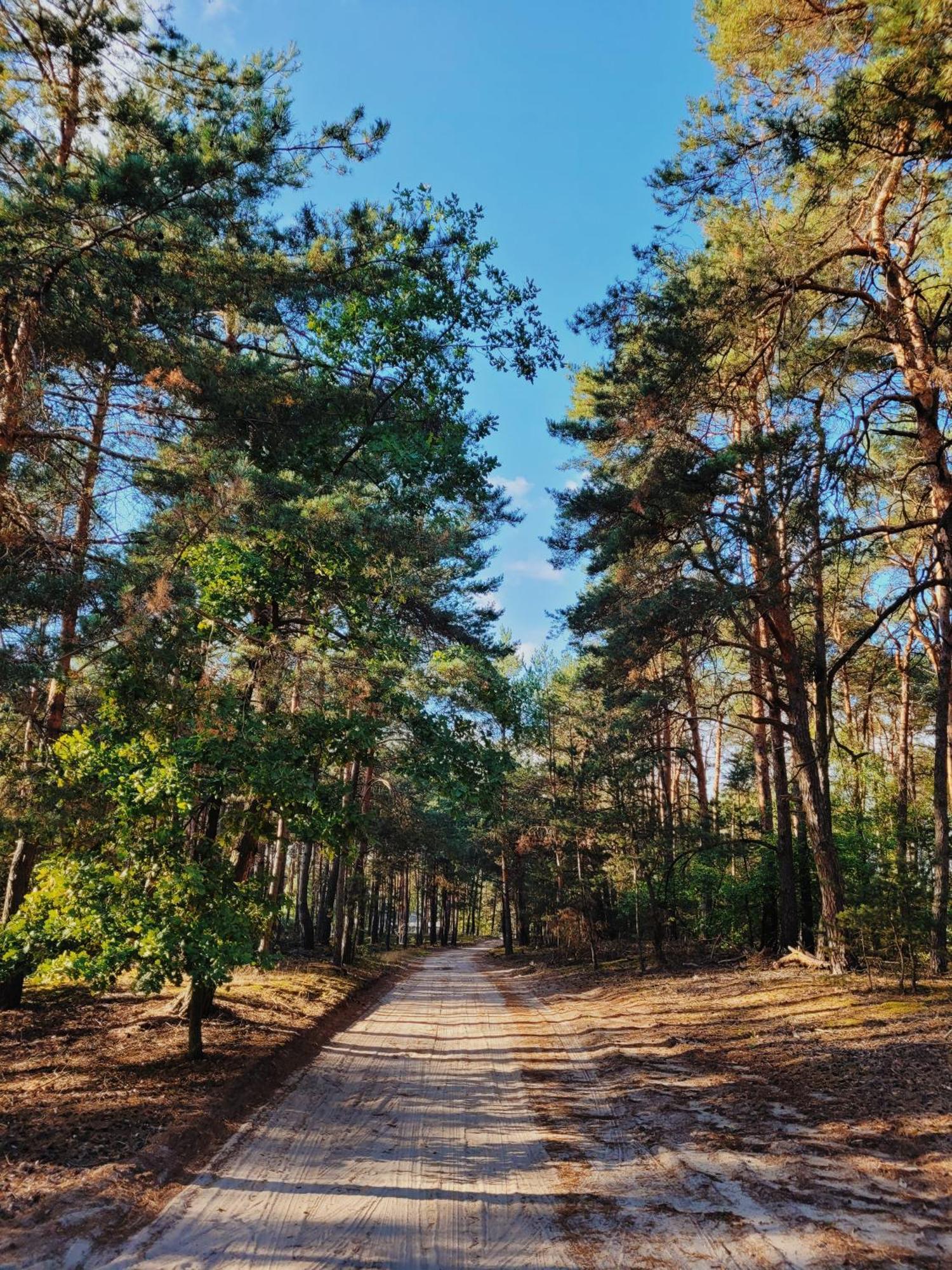 Zacisze Klimatyzowane Całoroczne W Wielkopolsce Dom wakacyjny Jozefow (Pleszew County)