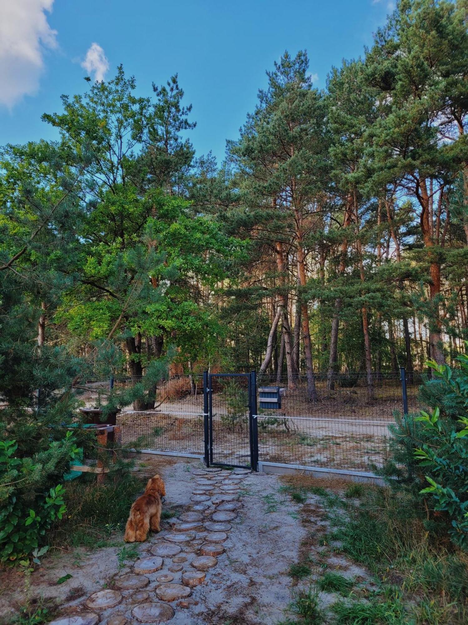 Zacisze Odpocznij Wsrod Natury W Wielkopolsce Юзефув