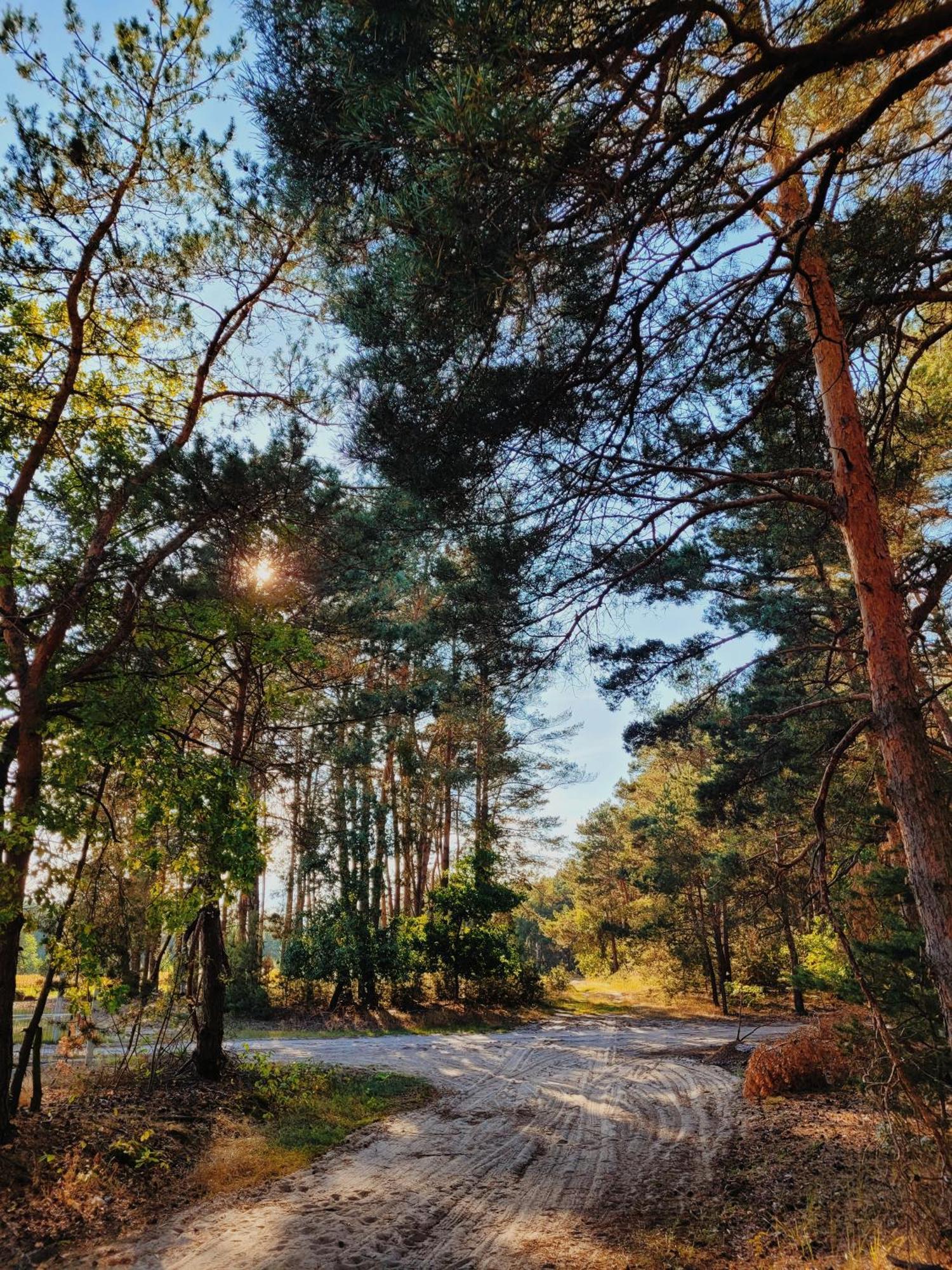 Dom wakacyjny Zacisze Klimatyzowane Całoroczne W Wielkopolsce