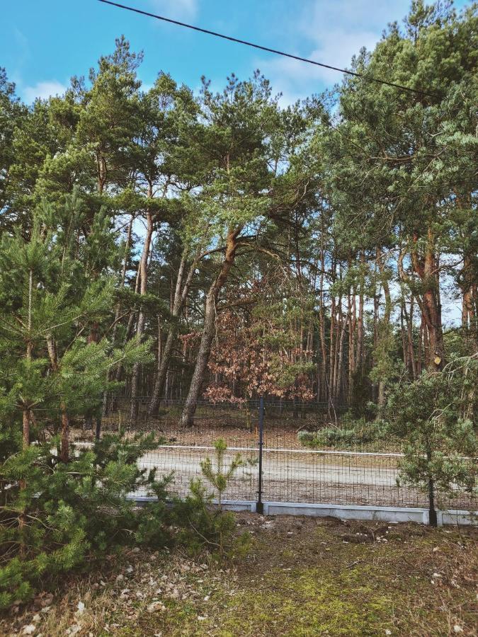 Zacisze Odpocznij Wsrod Natury W Wielkopolsce